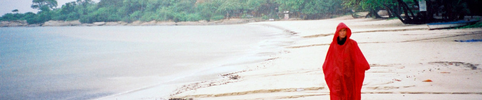 Page banner image