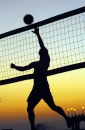avp sunset